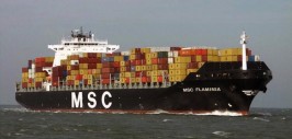 MSC-Flaminia