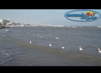 Marea Neagră, la sfârșit de ianuarie