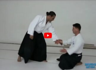 Lectii gratuite de Aikido, la Mangalia