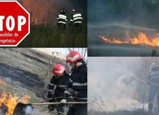 Stop incendierii miriştilor şi vegetaţiei!