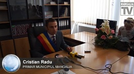 radu cristian