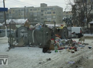Polaris alearga dupa doua si nu termina nici macar una. Ori gunoiul, ori zapada !