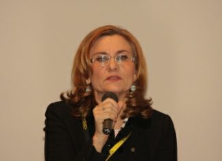 Maria Grapini anunta impozit forfetar pentru anumite afaceri