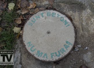 Patrule mixte împotriva hoţilor de fier vechi, la Mangalia