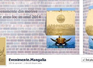 Proiectele promovate de Corina Martin in sudul litoralului se amana pentru 2014