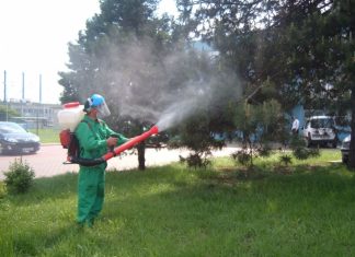 Campanie de dezinsectie in oras si statiuni