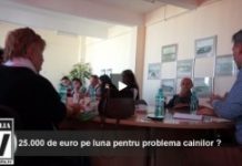 Cat dorea “iubitoarea de animale” pentru un adapost! Jumatate de milion de euro constructia si inca 25.000 de euro pe luna pentru intretinere