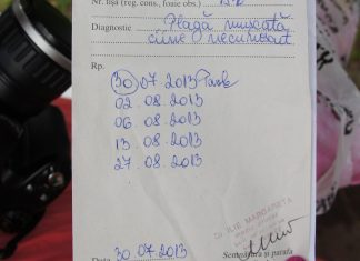 Inca o turista muscata de caini in statiunea Saturn