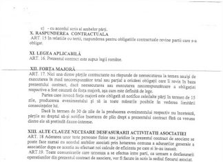 Acestea sunt firmele care se vor ocupa de evenimentele din sudul litoralului