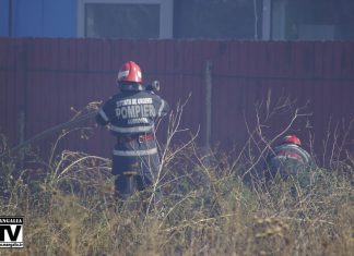Incendiu de vegetatie