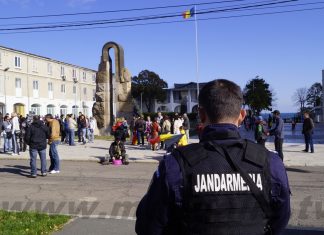 Libertatea intrunirilor pasnice, garantata de Constitutie si de lege