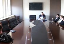 Inca o discutie pe tema cainilor fara stapan