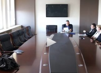 Inca o discutie pe tema cainilor fara stapan