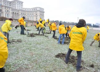 Greenpeace a dat startul la exploatarea aurului în curtea Parlamentului României, protestând împotriva proiectului de la Roșia Montană