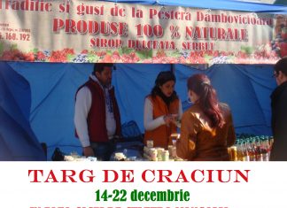 Incepe Targul de Craciun !