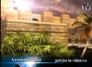 Privire in viitor.