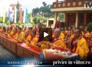 Privire in viitor