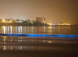 Spectacol de lumina pe mare