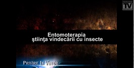 Entomoterapia – ştiinţa vindecării cu insecte