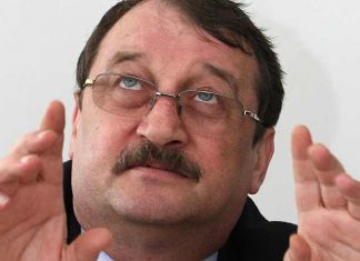 Mircea Basescu retinut 24 de ore pentru trafic de influenta.