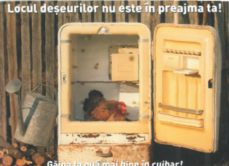 O nouă campanie de reciclare a deşeurilor va avea loc la Mangalia