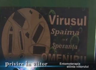Entomoterapia – stiinta viitorului