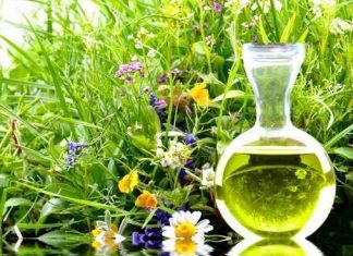 Homeopatie – esenta materiei