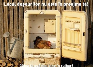 Mangalia reciclează.