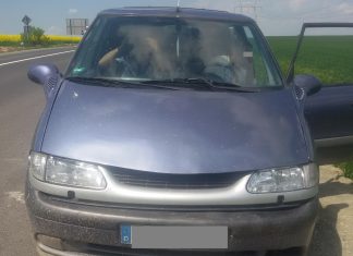 Transport illegal cu carne de cal