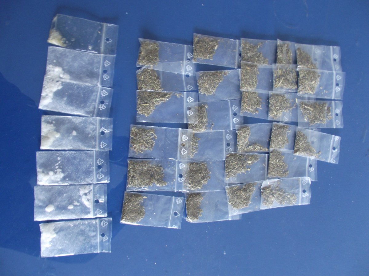 etnobotanice1