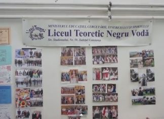Oferte educationale – Liceul Teoretic Negru Voda