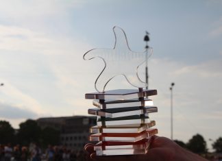 Festivalul Tinereții, ediția XI, Mangalia 2015