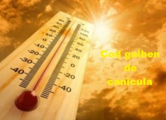 COD GALBEN de canicula. Recomandari pentru a suporta mai usor canicula