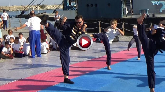 kung-fu
