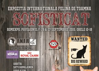 SofistiCAT – Expozitia Internationala Felina de Toamna