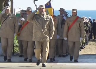 Defilare de Ziua Armatei Romane, la Mangalia