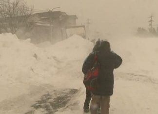 Sunt suspendate cursurilor în şcolile din 30 de localităţi ale judeţului Constanţa