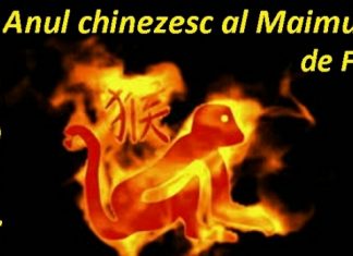 ANUL NOU CHINEZESC SĂRBĂTORIT LA MEDGIDIA