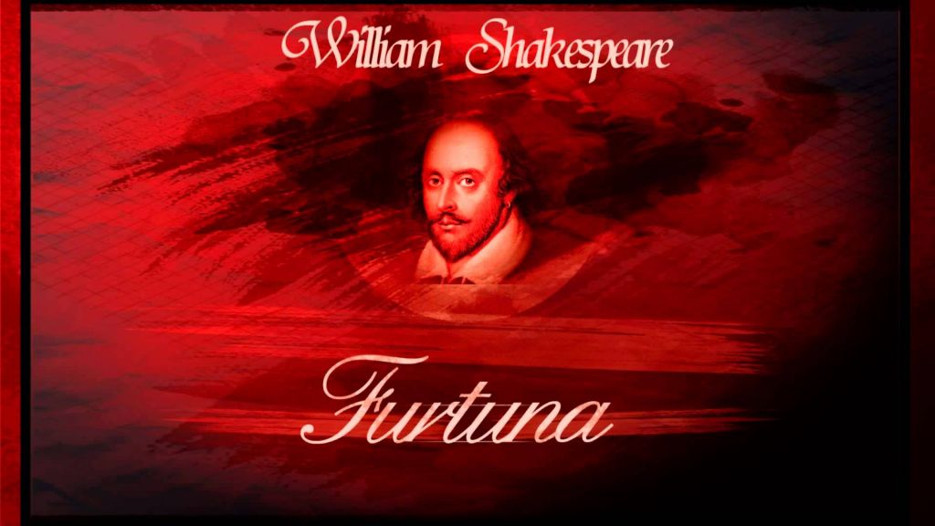 furtuna_w_s