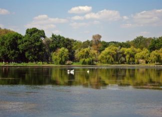 La pescuit pe lacul Neptun cu unelte interzise de lege