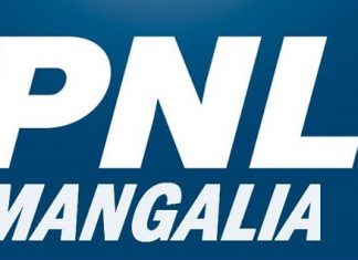 Lucian Nichita și Dumitru Filip, propuși de PNL să-i înlocuiască în Consiliu pe Leo Tănase și Cristian Drăgan