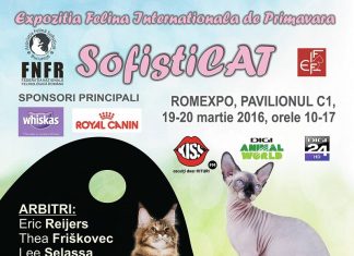Expoziția Felină Internațională de Primăvară SofistiCAT