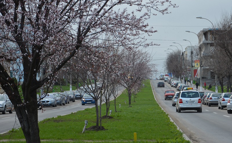 mangalia spatii verzi