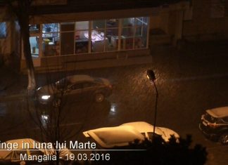Zapada mieilor la Mangalia