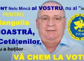 Ion Mincă: Scrisoare deschisă către Leonard Tănase