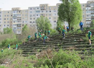 Polaris a colectat aproximativ 60 de tone de deşeuri de pe terenul de rugby din cadrul Bazei Sportive “ Badea Cârţan”