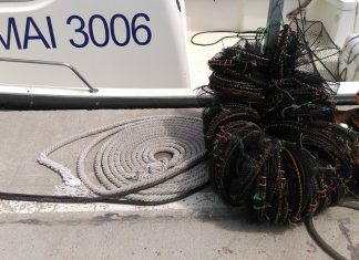 Cuşti de pescuit descoperite în Marea Neagră, în apropierea epavei de la Costineşti