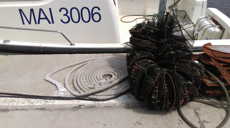 garda de coasta