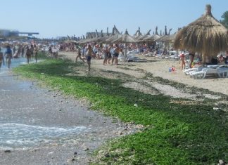 Sute de controale pe intreg litoralul romanesc. Au fost aplicatate amenzi de peste 90.000 de lei.