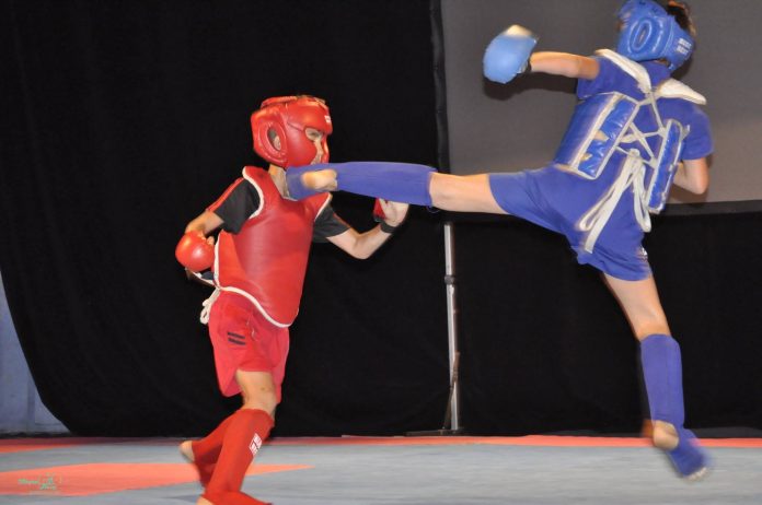 kung-fu